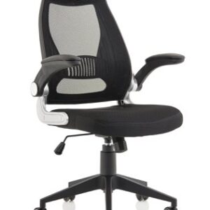 Saturn Executive Chair With Folding Arms