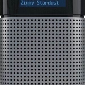 Pinell North Basic bærbar digital radio (sort)